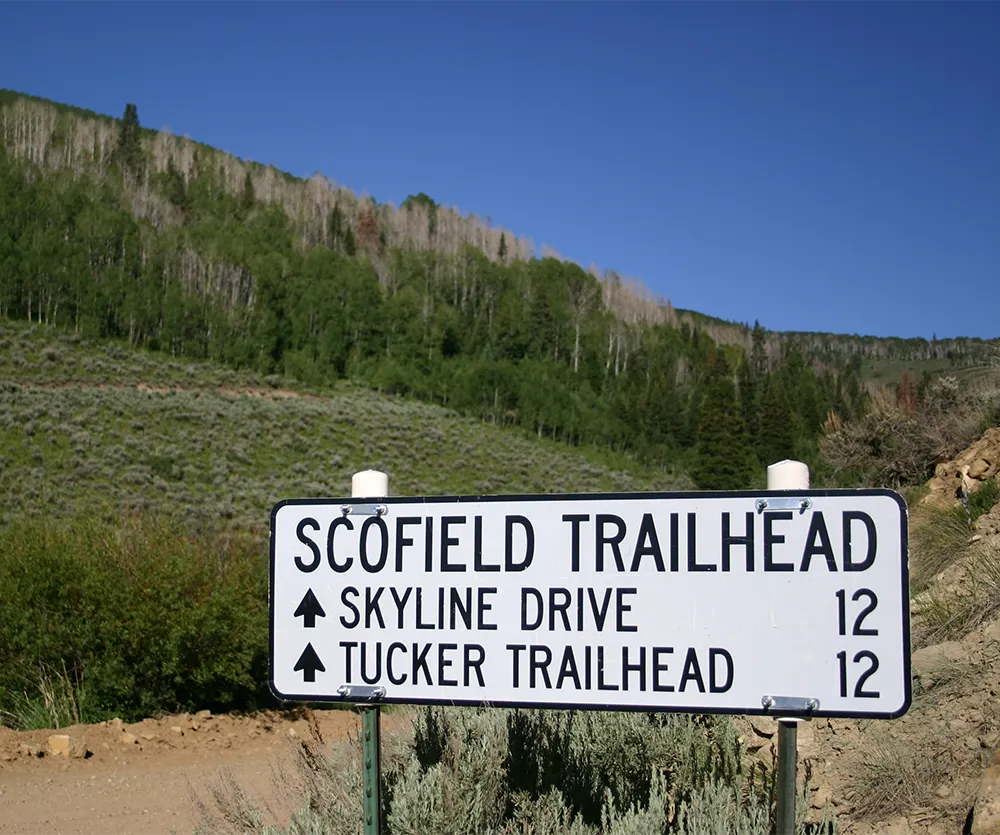 Scofield Trailhead to Skyline Drive and Tucker Trailhead